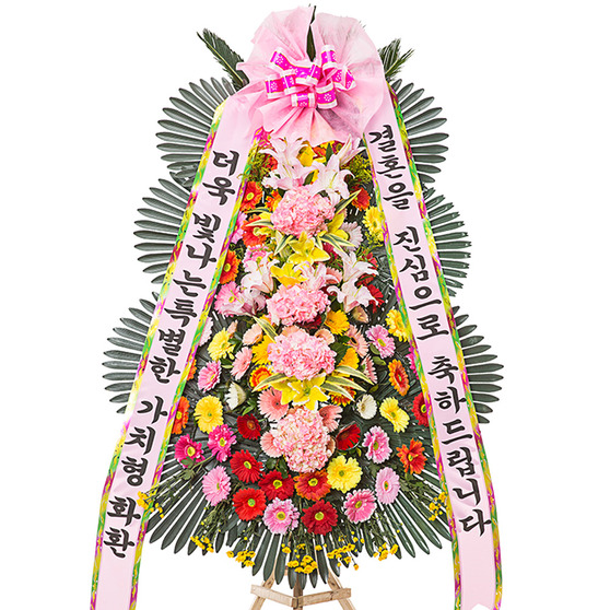 축하 특대형 플러스